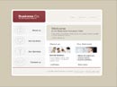 Business Flash template